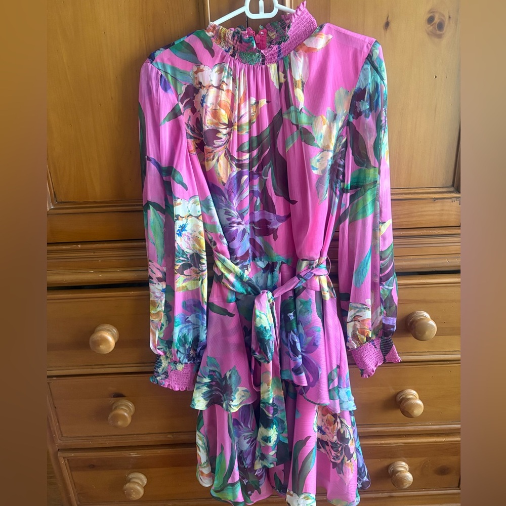 Alex Marie Chiffon Occasional Dress Size 10